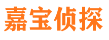 兴庆市私家侦探